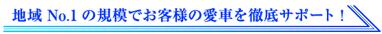 地域No.1の規模でお客様の愛車を徹底サポート!